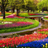 Garden Wallpapers HD icon