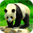 Giant Panda Live Wallpaper icon