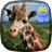 Giraffe Hidden Capture Live Wallaper icon