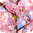 Blooming Sakura icon