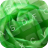 GO Keyboard Green Flowers icon