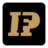 IFP icon