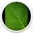 Descargar Xperia z3 Weed Live Wallpaper