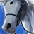 Horse Anime Wallpapers icon