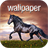 Descargar HD Horse Wallpapers