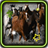 Horses Gallery 2015 LWP icon