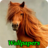 Horse Wallpapers version 1.5