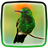 Hummingbird Live Wallpaper icon