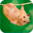 Imagenes Hamster HD icon