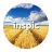 Inspic Fields HD icon