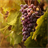 grapes wallpaper icon