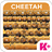 Keyboard Plus Cheetah icon
