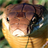 king cobra snake lwp APK Download