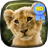 Kitten Lion Cub Live Wallpaper icon