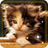 Kittens Voices icon