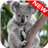 Koala Wallpapers icon