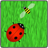Ladybird Wallpaper icon