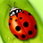 ladybug live wallpaper version 1.1