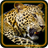 Leopard Jungle icon