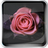 Life roses icon