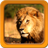 Lion Live Wallpapers icon