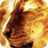 Lioness in flame icon