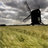 live wallpaper windmill icon