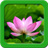 Lotus Live Wallpapers icon