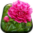 Lovely Flowers Live Wallpaper icon