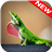 Lizard Wallpapers icon