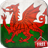 Magic Flag: Wales icon