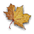 Autumn Leaves icon