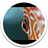 Mate7 Fish Eye Live Wallpaper icon