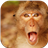 Monkey Wallpapers APK Download