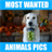 Most Wanted Animals HD version 1.1