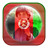 Afghanistan Flag Photo icon