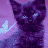 My Cat My Love Live Wallpaper icon