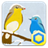 New year of birds icon