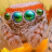 Orange Flower Spider Live Wallpaper icon