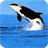 Orca Live Wallpaper icon