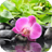 Orchid Flower Live Wallpaper icon
