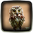 Owl Live Wallpaper icon