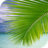Descargar Palm on Beach Live Wallpaper
