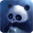 Panda Live Wallpaper Animal icon