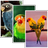 Descargar Parrot HD Wallpaper Pro
