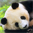 pet panda live wallpaper icon