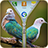 Pigeon Zipper Lock icon