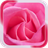 Pink Rose LWP icon