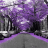 Purple City Street Live Wallpaper icon