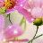 Purple Daisy Live Wallpaper icon